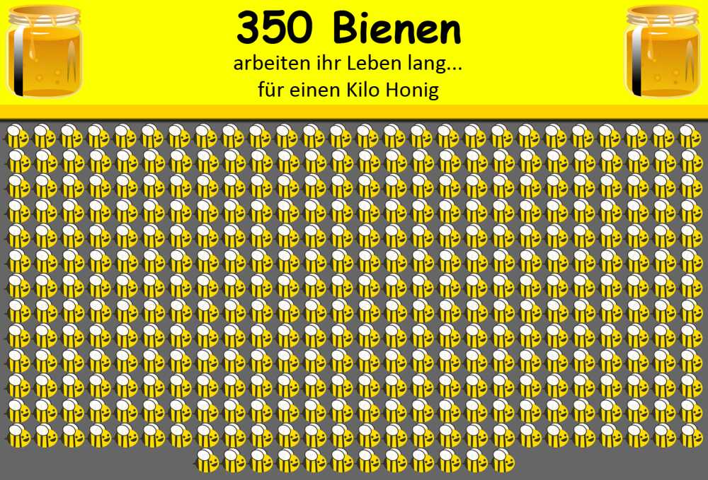 350 Bienen für 1 Kilo Honig