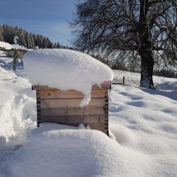 Bienenstock im Winter, Elisabeth Pfeifhofer