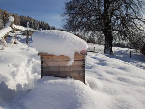 Bienenstock im Winter, Elisabeth Pfeifhofer